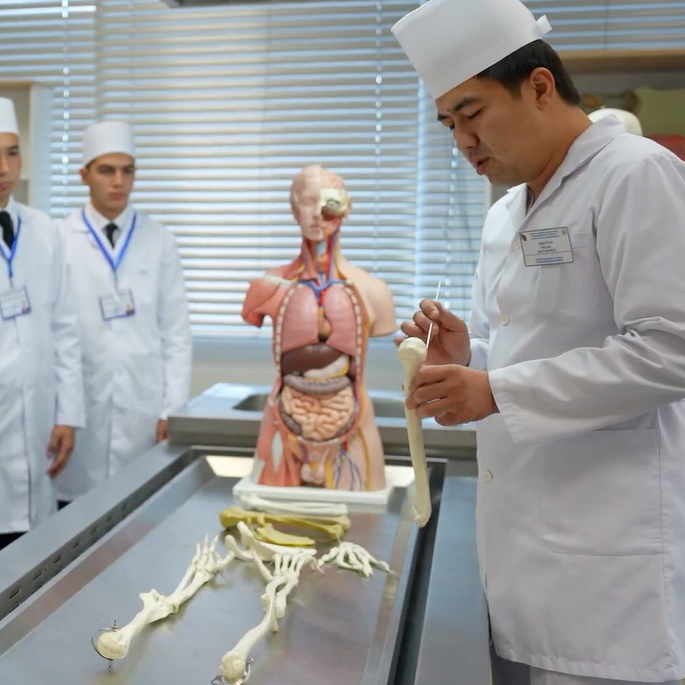 Eliň skeletiniň s&uuml;ňkleri. Olaryň gurluşy we topografi&yacute;asy. Adamyň skelet modelinde amaly sapak.